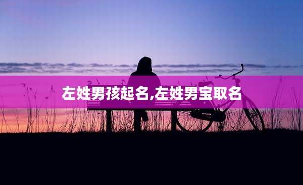 左姓男孩起名,左姓男宝取名