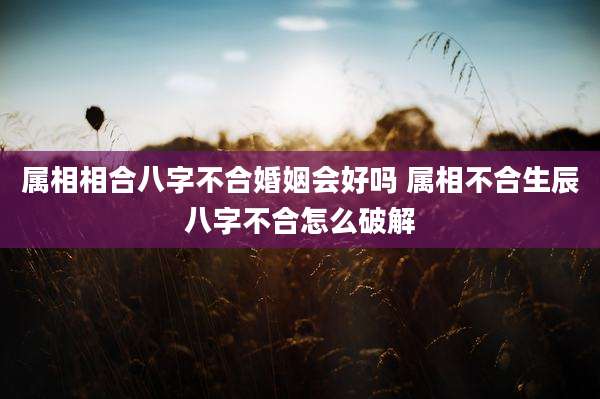 属相相合八字不合婚姻会好吗 属相不合生辰八字不合怎么破解