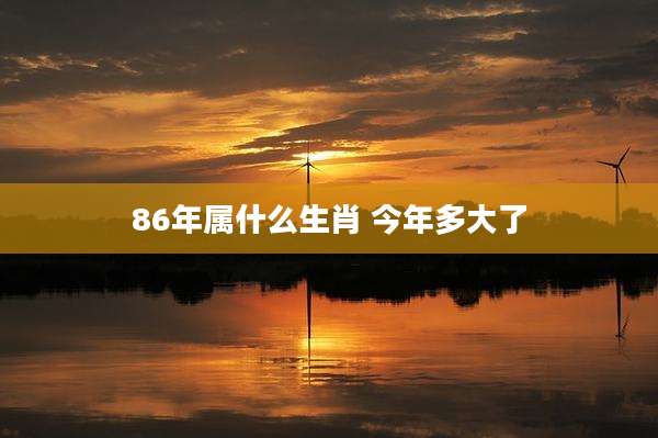 86年属什么生肖 今年多大了