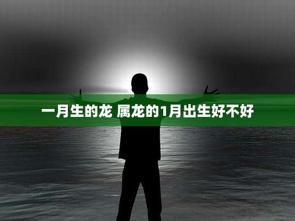 一月生的龙 属龙的1月出生好不好