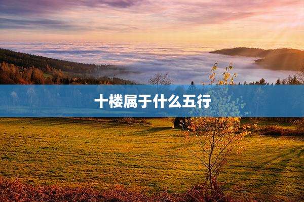 十楼属于什么五行