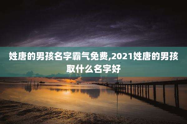 姓唐的男孩名字霸气免费,2021姓唐的男孩取什么名字好