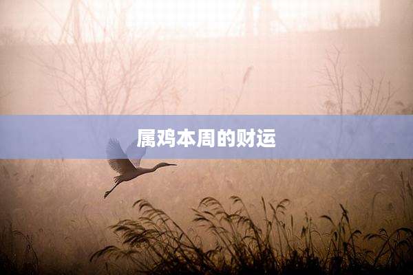 属鸡本周的财运
