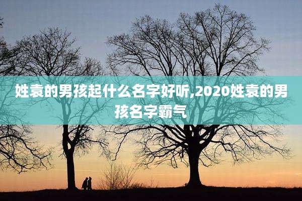 姓袁的男孩起什么名字好听,2020姓袁的男孩名字霸气
