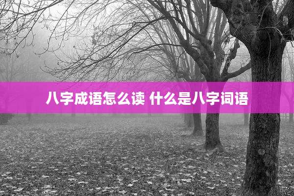 八字成语怎么读 什么是八字词语