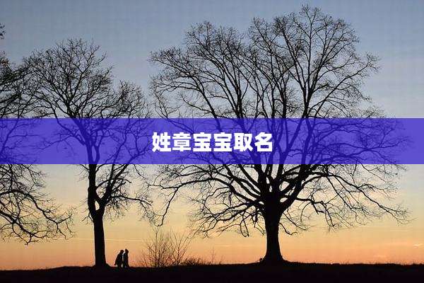 姓章宝宝取名