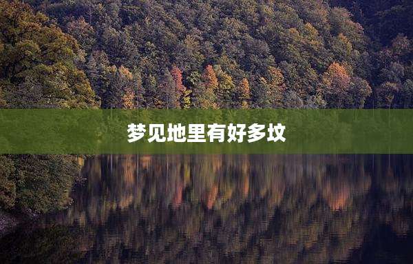 梦见地里有好多坟