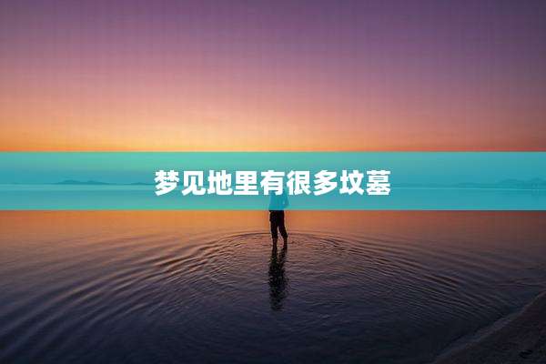 梦见地里有很多坟墓
