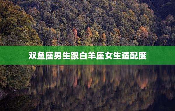 双鱼座男生跟白羊座女生适配度