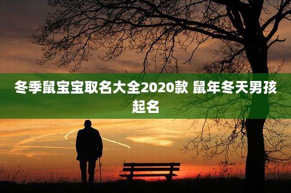 冬季鼠宝宝取名大全2020款 鼠年冬天男孩起名
