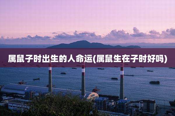 属鼠子时出生的人命运(属鼠生在子时好吗)