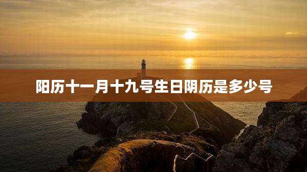 阳历十一月十九号生日阴历是多少号