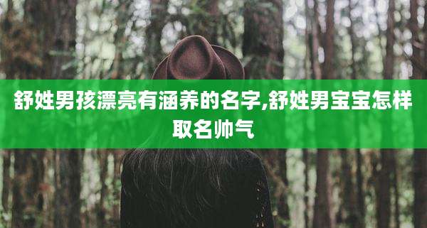 舒姓男孩漂亮有涵养的名字,舒姓男宝宝怎样取名帅气