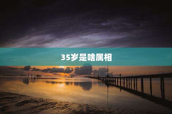 35岁是啥属相