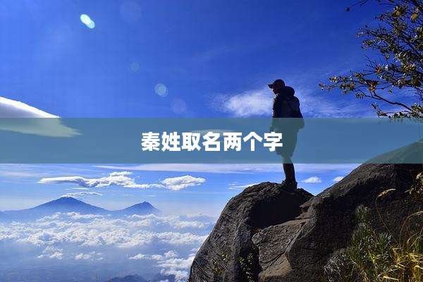 秦姓取名两个字