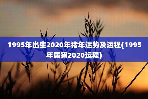 1995年出生2020年猪年运势及运程(1995年属猪2020运程)