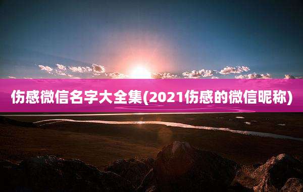 伤感微信名字大全集(2021伤感的微信昵称)