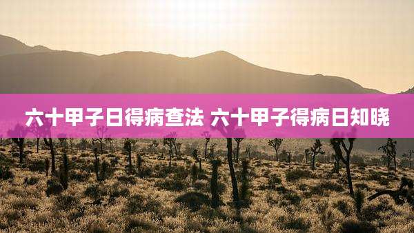 六十甲子日得病查法 六十甲子得病日知晓