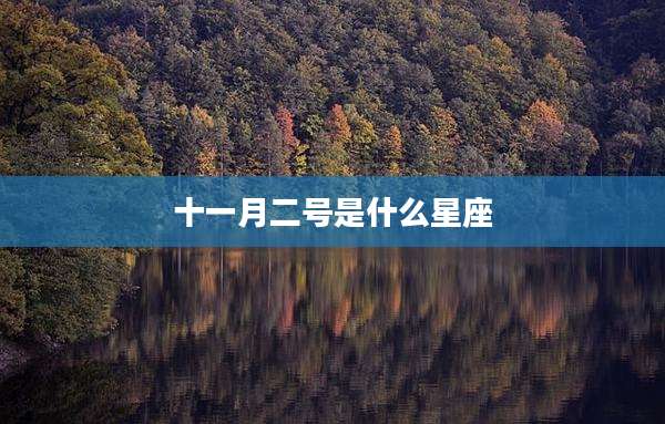 十一月二号是什么星座