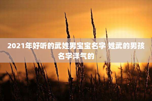 2021年好听的武姓男宝宝名字 姓武的男孩名字洋气的