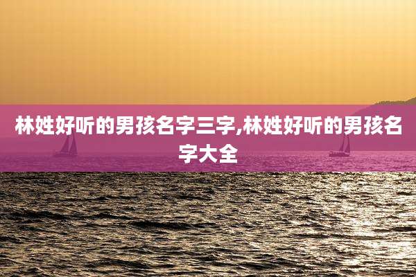 林姓好听的男孩名字三字,林姓好听的男孩名字大全