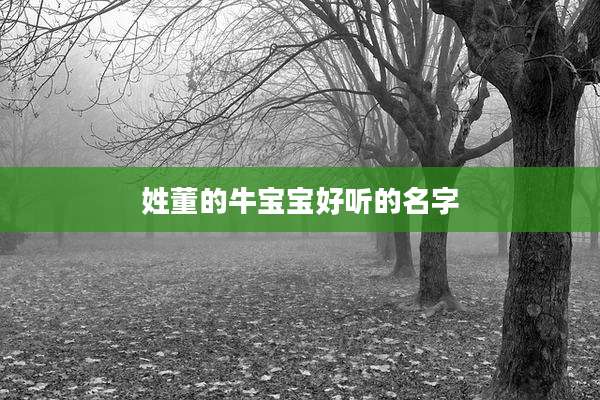 姓董的牛宝宝好听的名字