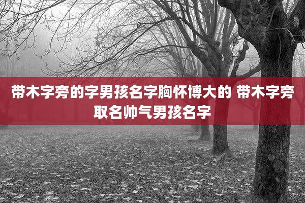 带木字旁的字男孩名字胸怀博大的 带木字旁取名帅气男孩名字