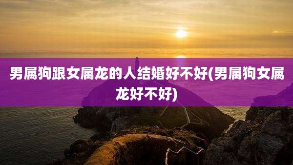 男属狗跟女属龙的人结婚好不好(男属狗女属龙好不好)