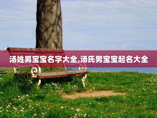 汤姓男宝宝名字大全,汤氏男宝宝起名大全
