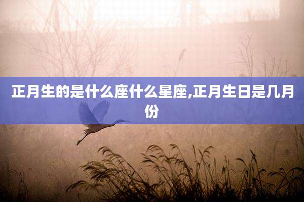 正月生的是什么座什么星座,正月生日是几月份