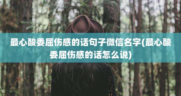 最心酸委屈伤感的话句子微信名字(最心酸委屈伤感的话怎么说)