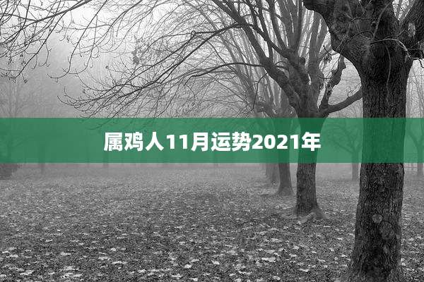 属鸡人11月运势2021年