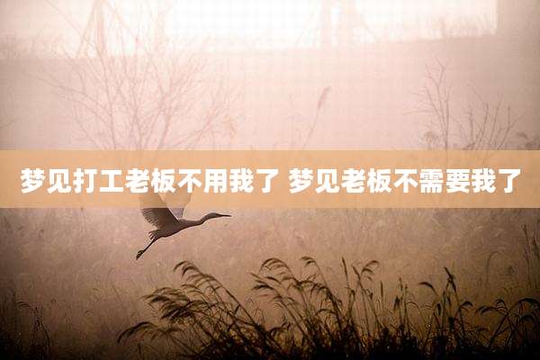 梦见打工老板不用我了 梦见老板不需要我了