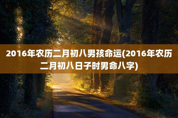 2016年农历二月初八男孩命运(2016年农历二月初八日子时男命八字)
