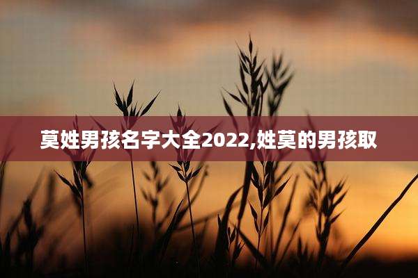 莫姓男孩名字大全2022,姓莫的男孩取