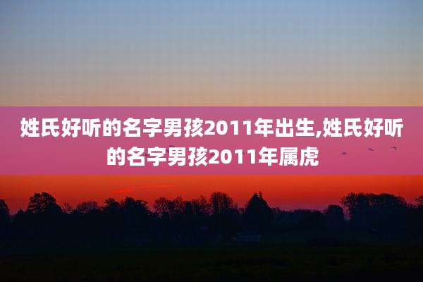 姓氏好听的名字男孩2011年出生,姓氏好听的名字男孩2011年属虎