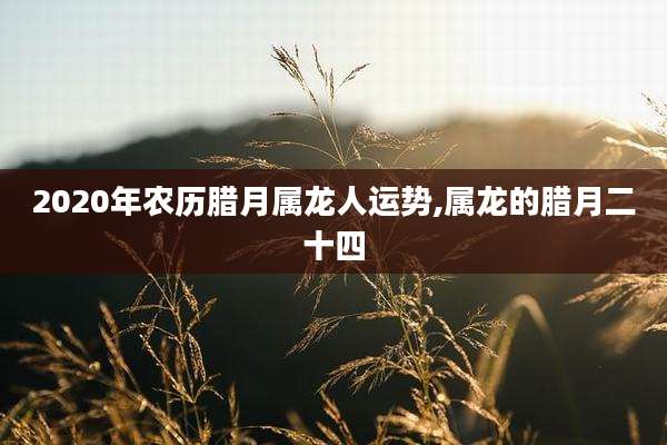 2020年农历腊月属龙人运势,属龙的腊月二十四