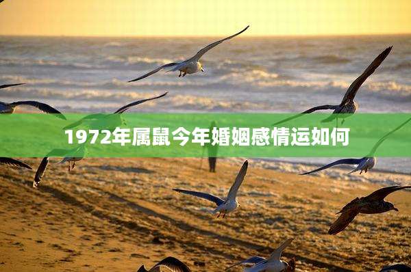 1972年属鼠今年婚姻感情运如何