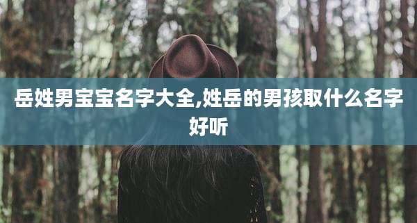 岳姓男宝宝名字大全,姓岳的男孩取什么名字好听