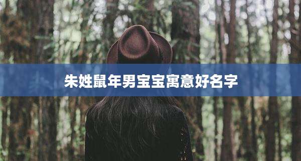 朱姓鼠年男宝宝寓意好名字