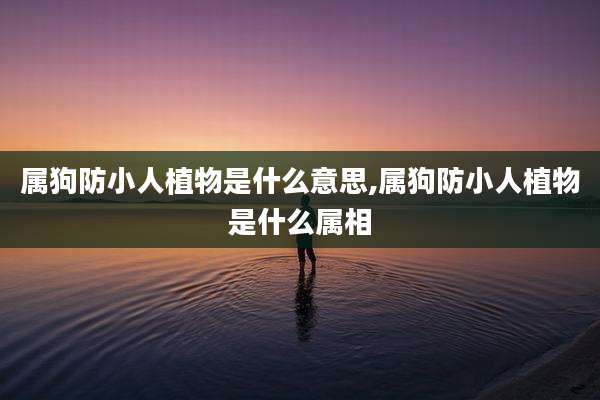 属狗防小人植物是什么意思,属狗防小人植物是什么属相
