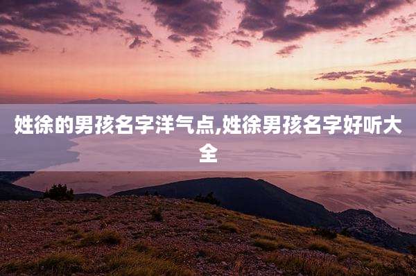 姓徐的男孩名字洋气点,姓徐男孩名字好听大全