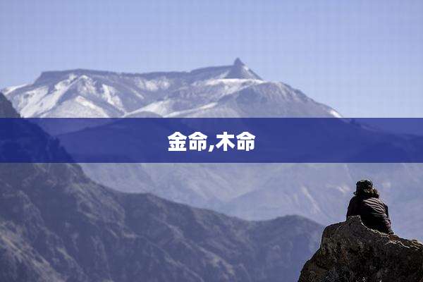 金命,木命