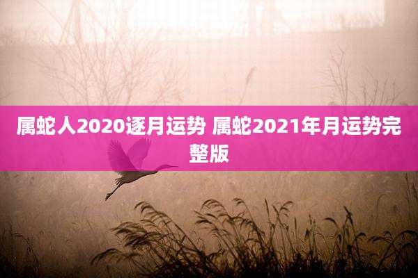 属蛇人2020逐月运势 属蛇2021年月运势完整版