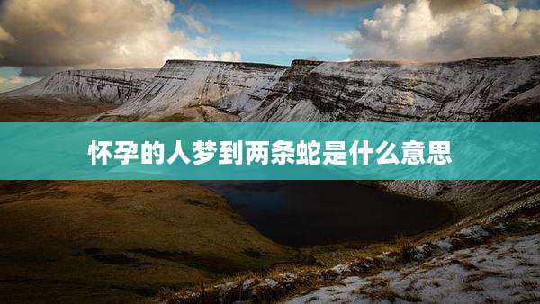 怀孕的人梦到两条蛇是什么意思