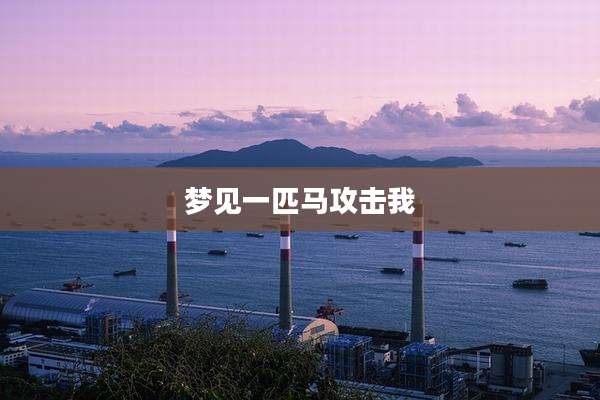 梦见一匹马攻击我