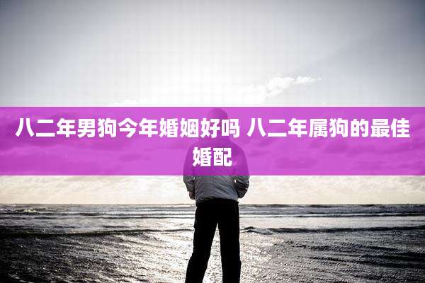 八二年男狗今年婚姻好吗 八二年属狗的最佳婚配