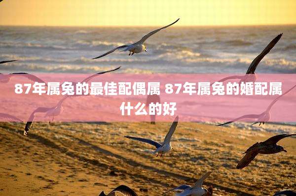 87年属兔的最佳配偶属 87年属兔的婚配属什么的好