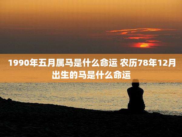 1990年五月属马是什么命运 农历78年12月出生的马是什么命运
