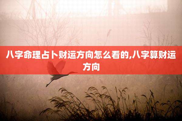 八字命理占卜财运方向怎么看的,八字算财运方向